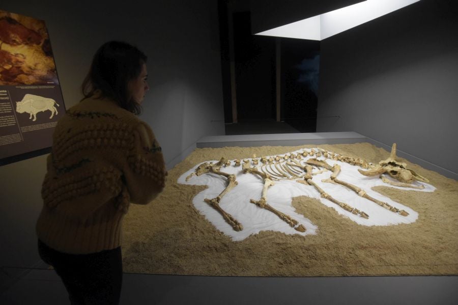 Fotos: Los hallazgos del yacimiento de Kiputz, en San Telmo