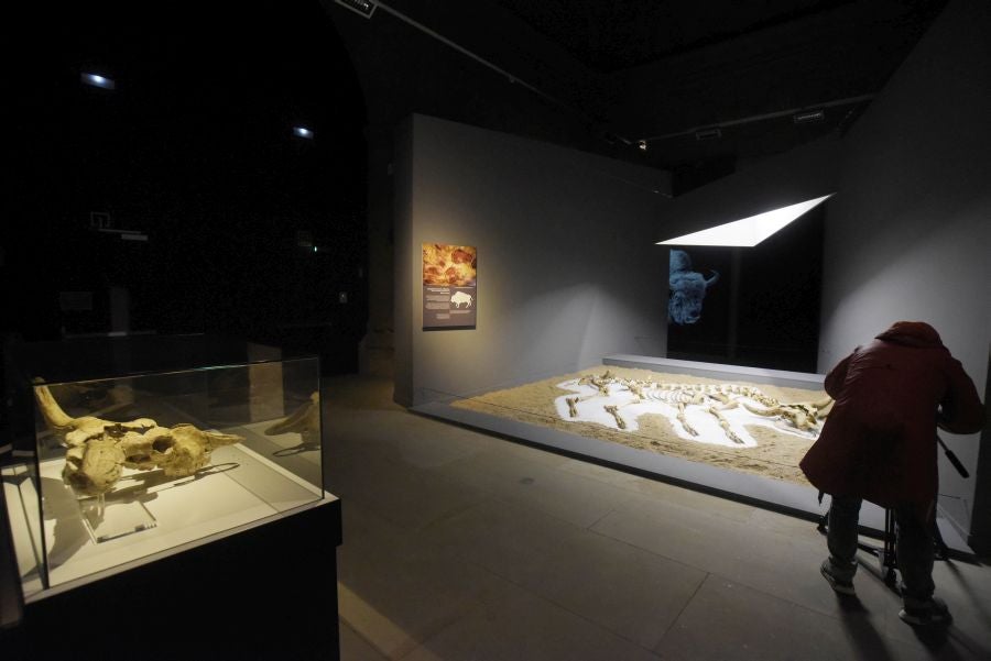 Fotos: Los hallazgos del yacimiento de Kiputz, en San Telmo