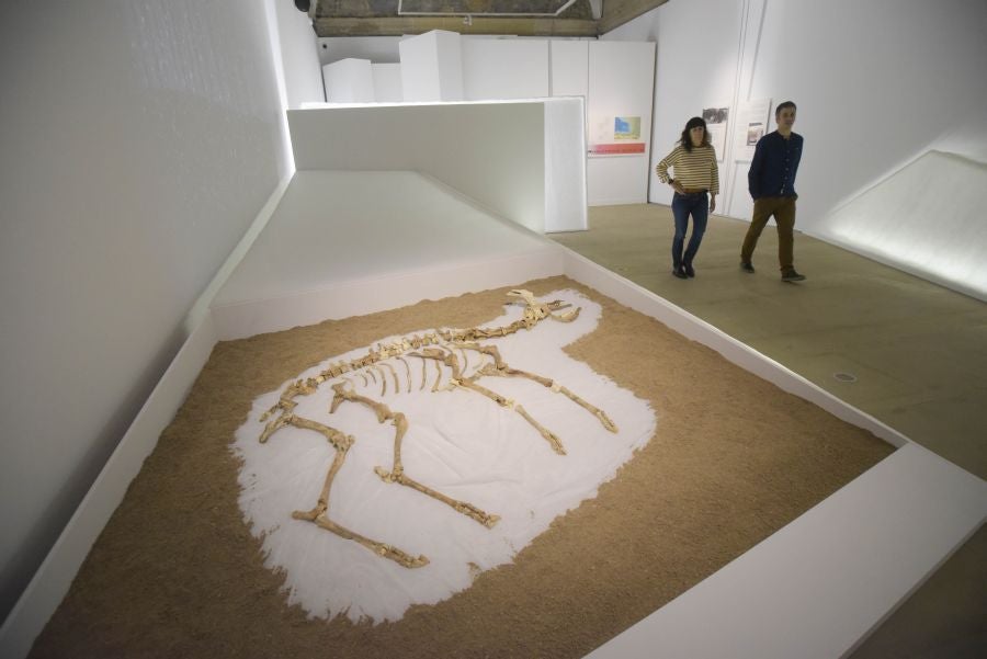 Fotos: Los hallazgos del yacimiento de Kiputz, en San Telmo