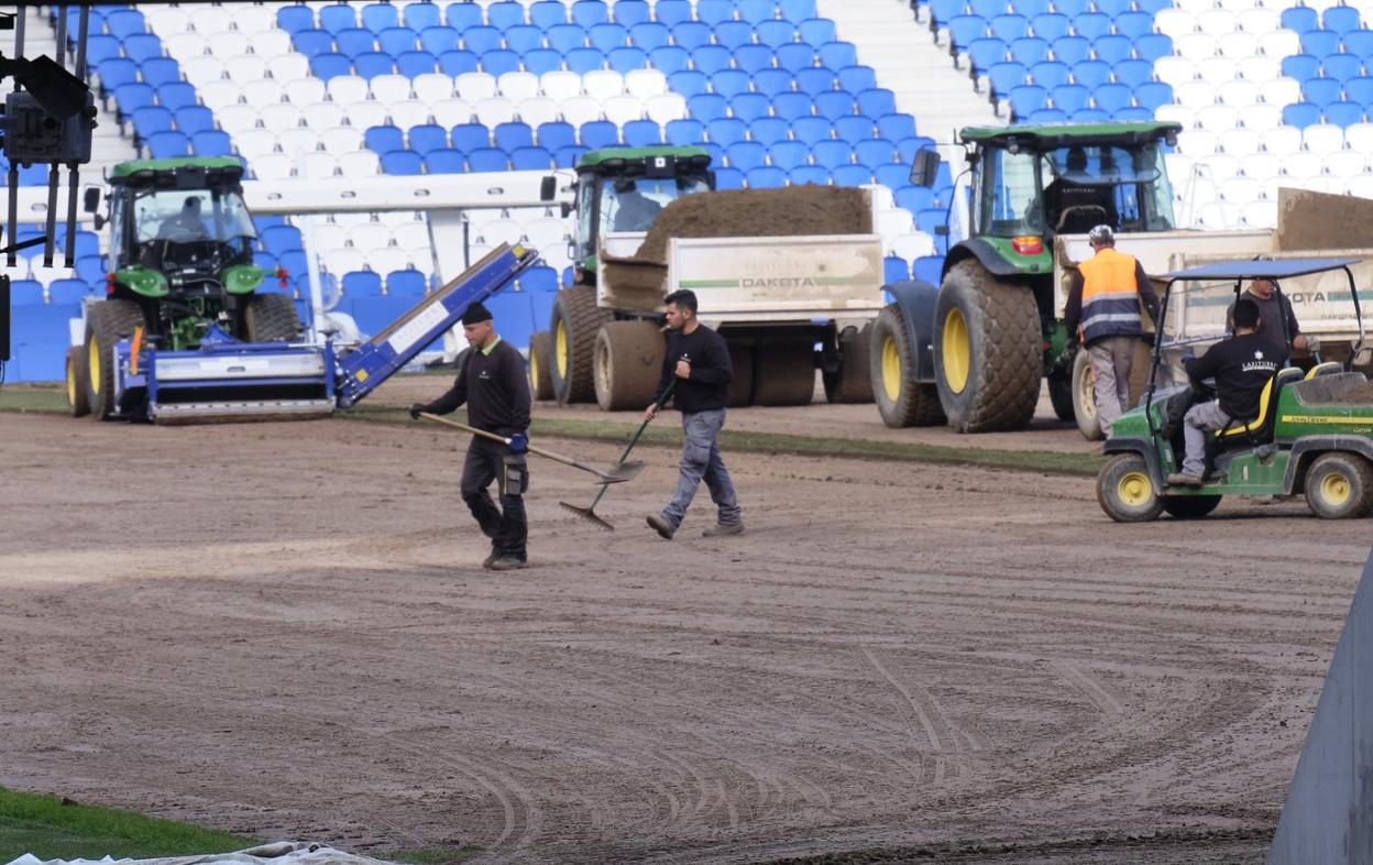 Los nuevos tepes de césped se empiezan a instalar hoy