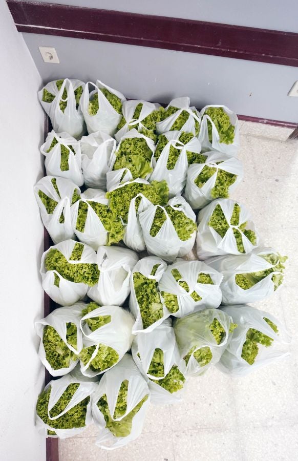 Banco de Alimentos: una gran cadena solidaria