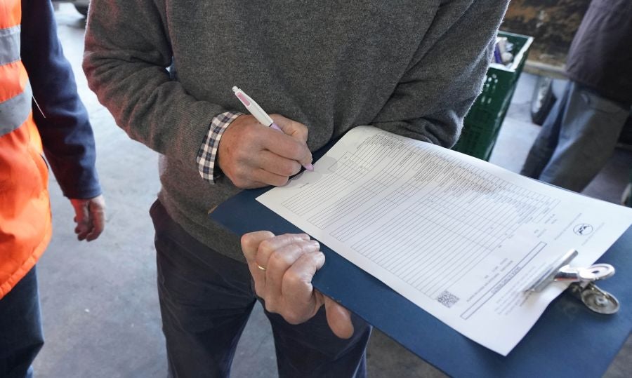 Banco de Alimentos: una gran cadena solidaria