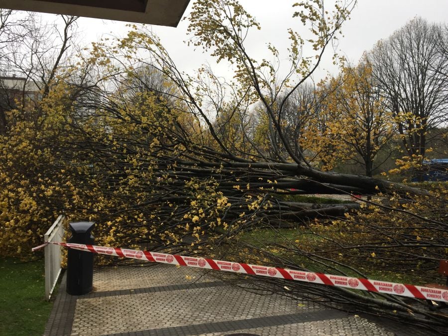 El viento ha provocado numerosos daños materiales en Gipuzkoa, especialmente en Donostia, con árboles y andamios caídos por toda la ciudad.