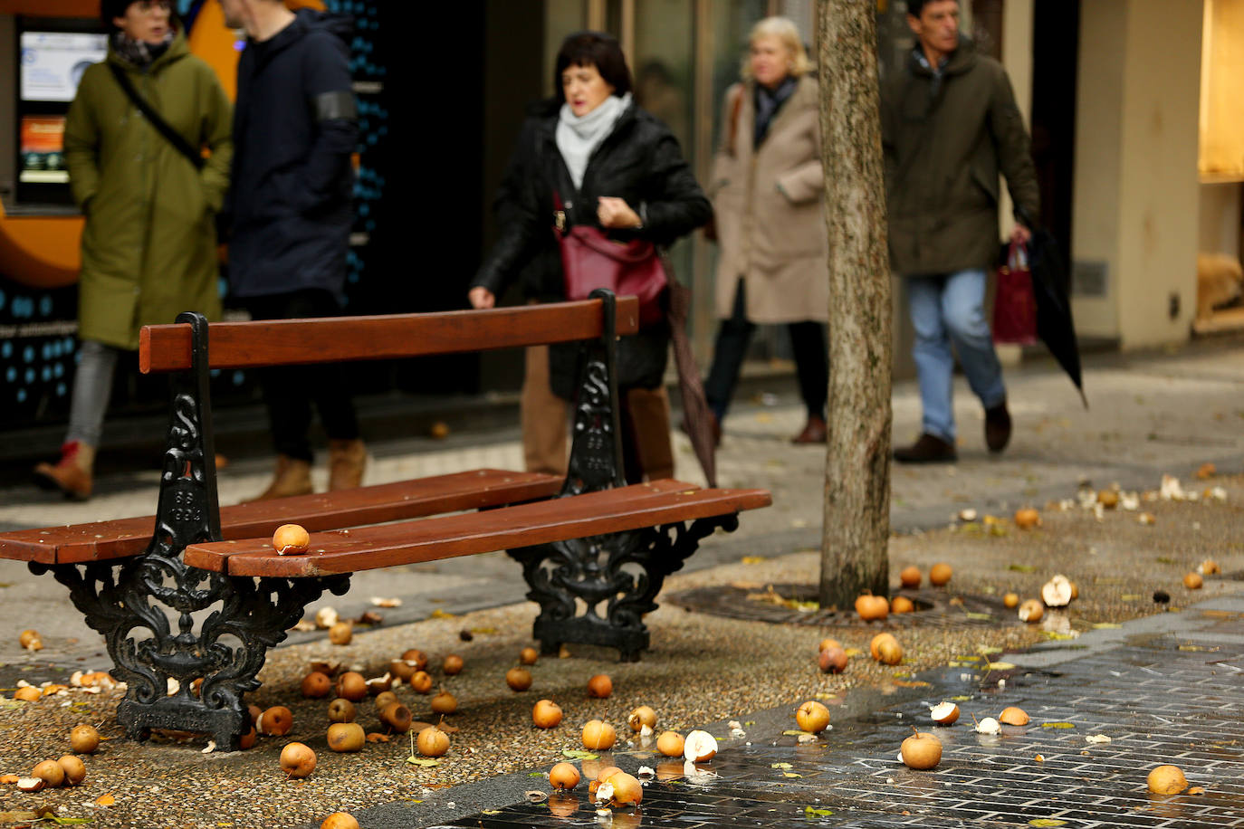El viento ha provocado numerosos daños materiales en Gipuzkoa, especialmente en Donostia, con árboles y andamios caídos por toda la ciudad.