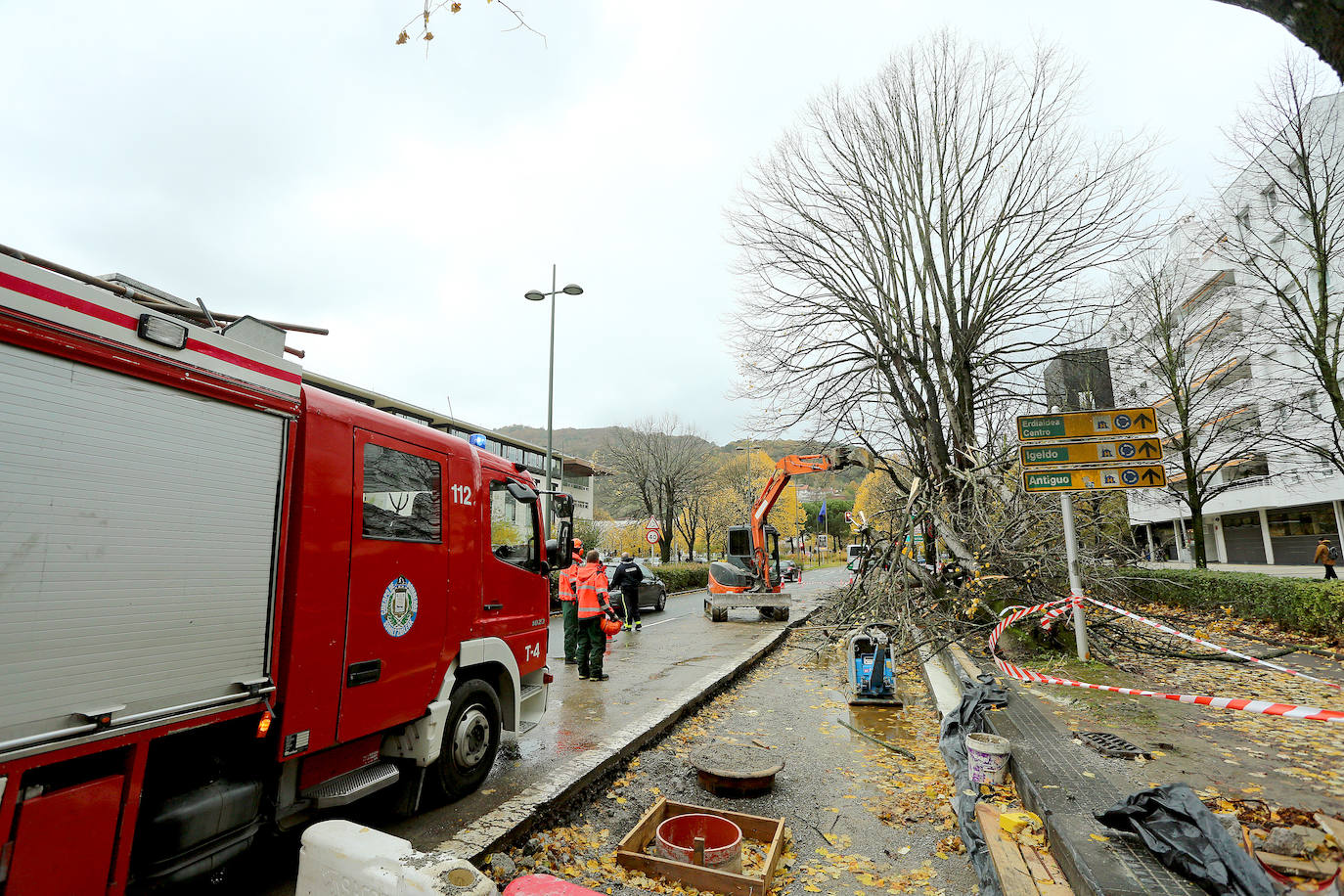 El viento ha provocado numerosos daños materiales en Gipuzkoa, especialmente en Donostia, con árboles y andamios caídos por toda la ciudad.