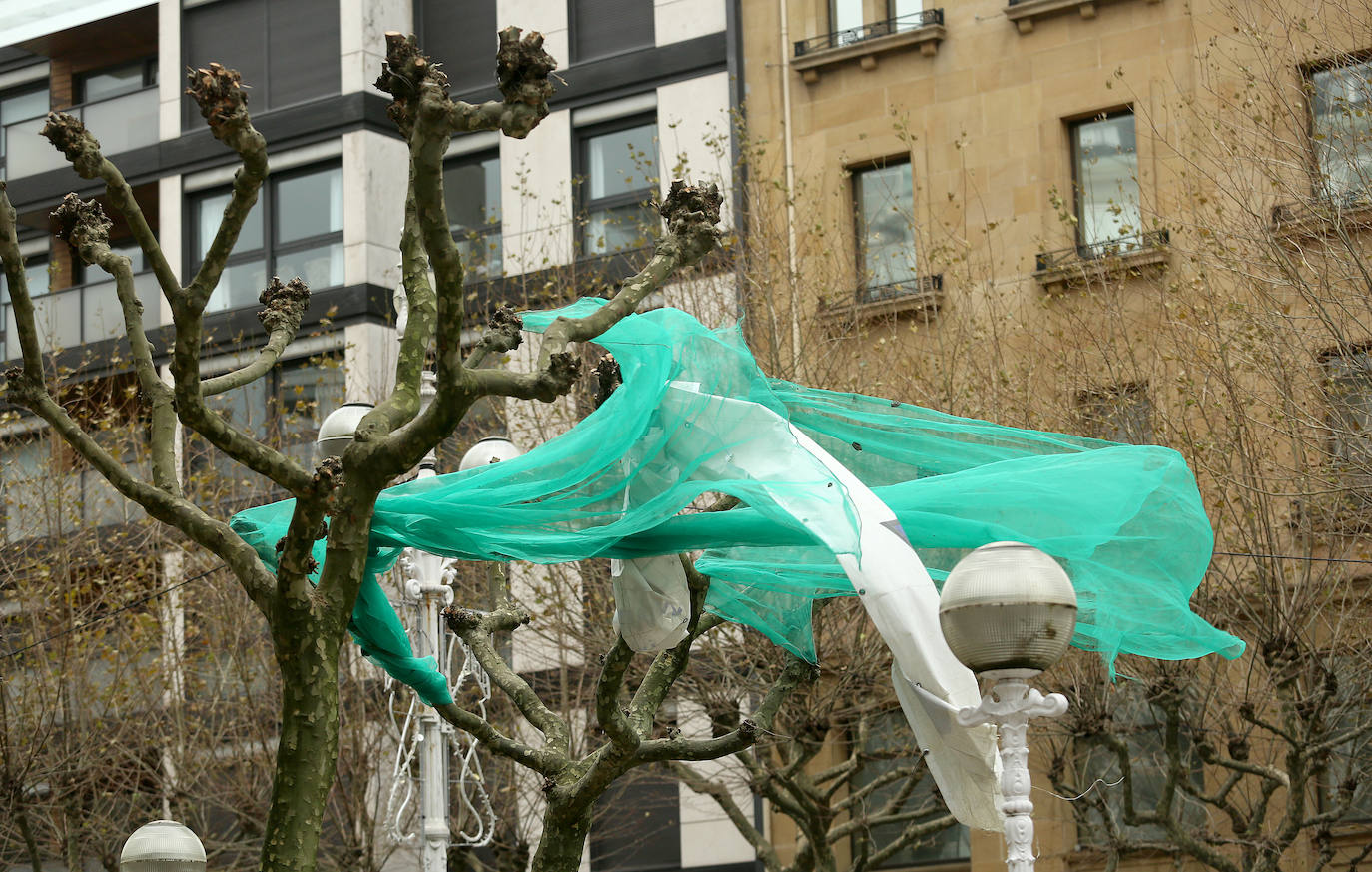 El viento ha provocado numerosos daños materiales en Gipuzkoa, especialmente en Donostia, con árboles y andamios caídos por toda la ciudad.