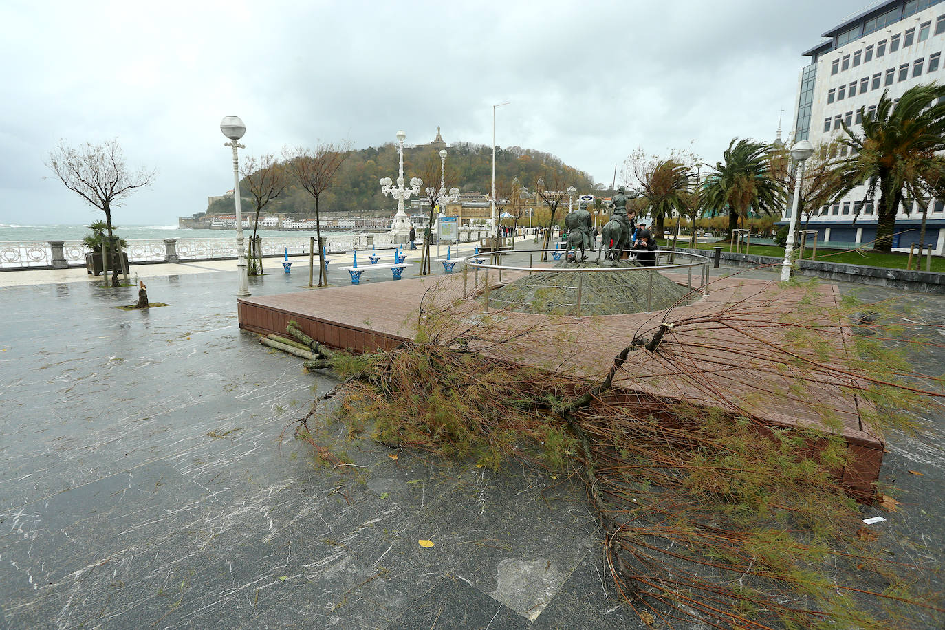 El viento ha provocado numerosos daños materiales en Gipuzkoa, especialmente en Donostia, con árboles y andamios caídos por toda la ciudad.