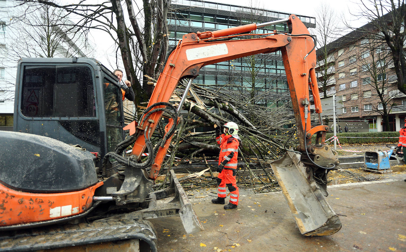 El viento ha provocado numerosos daños materiales en Gipuzkoa, especialmente en Donostia, con árboles y andamios caídos por toda la ciudad.