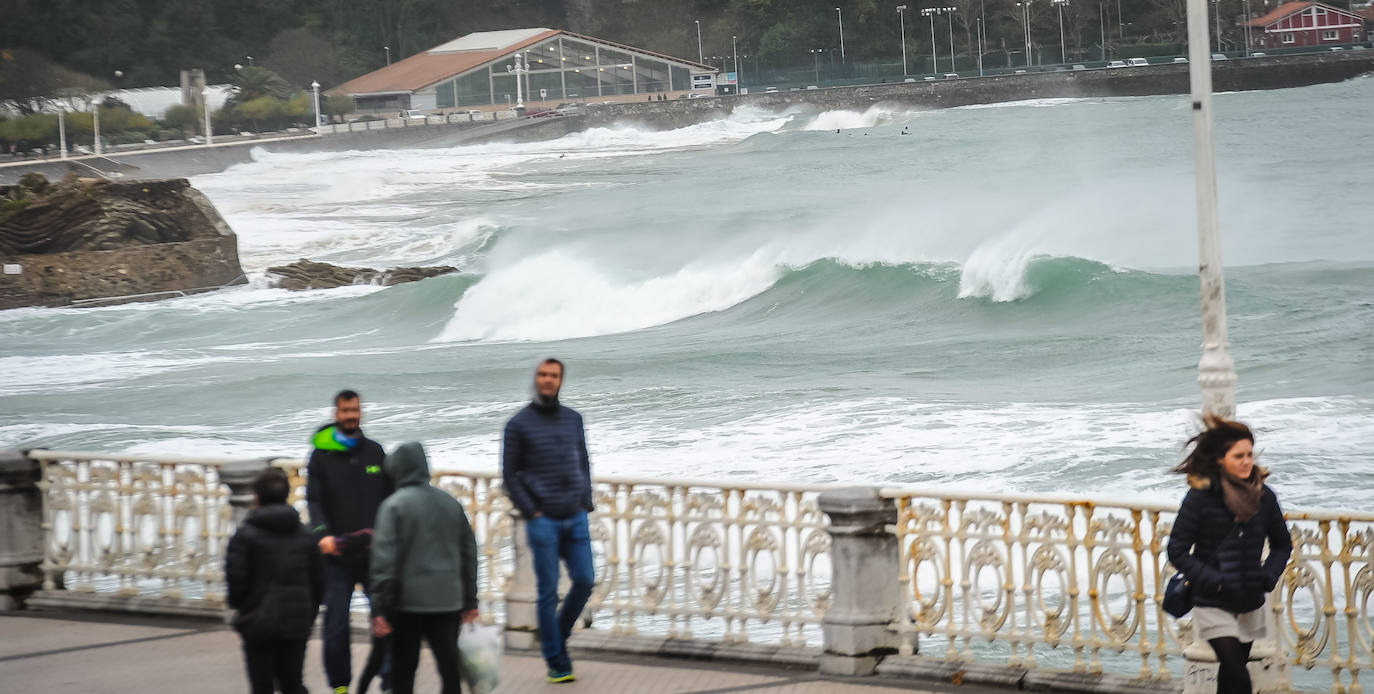 El viento ha provocado numerosos daños materiales en Gipuzkoa, especialmente en Donostia, con árboles y andamios caídos por toda la ciudad.