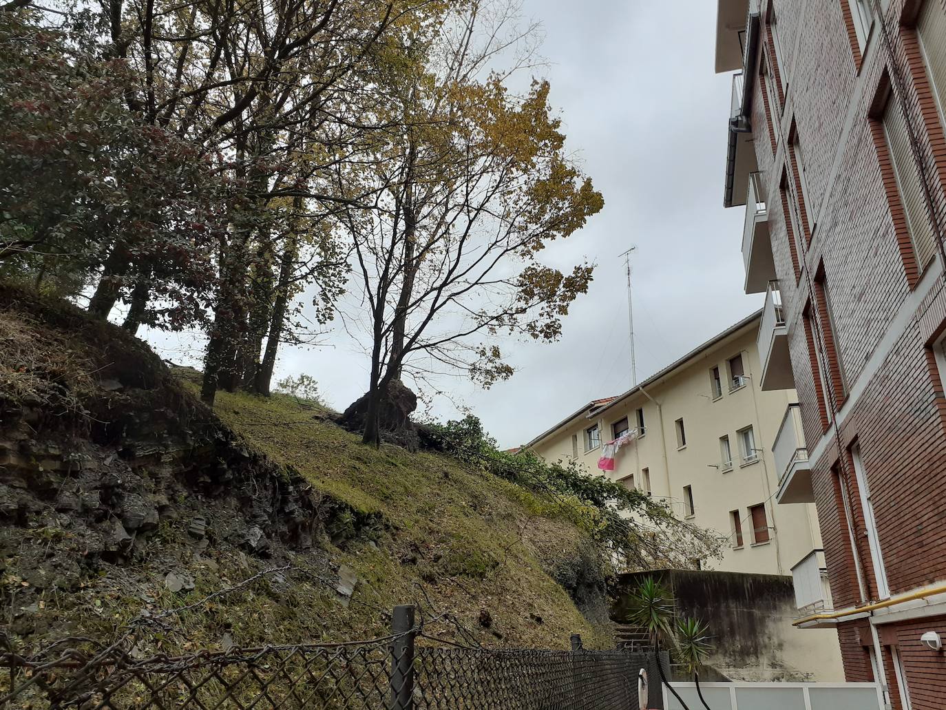 El viento ha provocado numerosos daños materiales en Gipuzkoa, especialmente en Donostia, con árboles y andamios caídos por toda la ciudad.