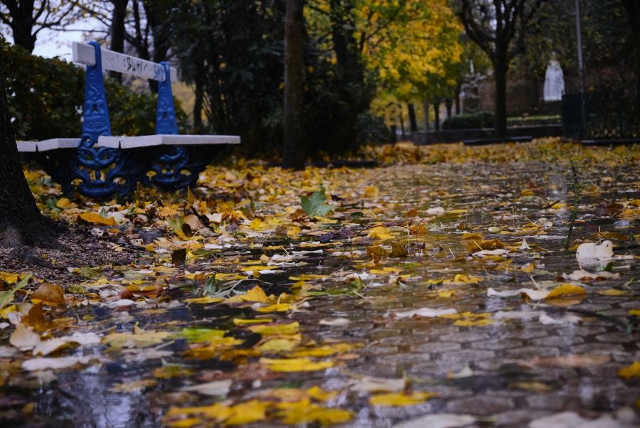 El viento ha provocado numerosos daños materiales en Gipuzkoa, especialmente en Donostia, con árboles y andamios caídos por toda la ciudad.