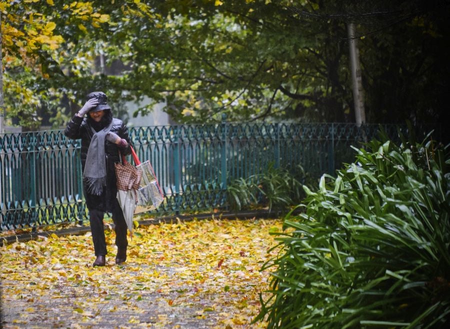 El viento ha provocado numerosos daños materiales en Gipuzkoa, especialmente en Donostia, con árboles y andamios caídos por toda la ciudad.