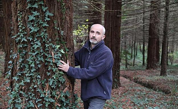 Joseba Arrieta pertenece a la Asociación de Propietarios Forestales de Gipuzkoa.