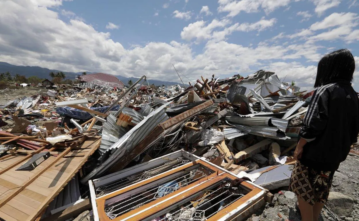 Idean un modelo que predice la peligrosidad de tsunamis y terremotos | El  Diario Vasco