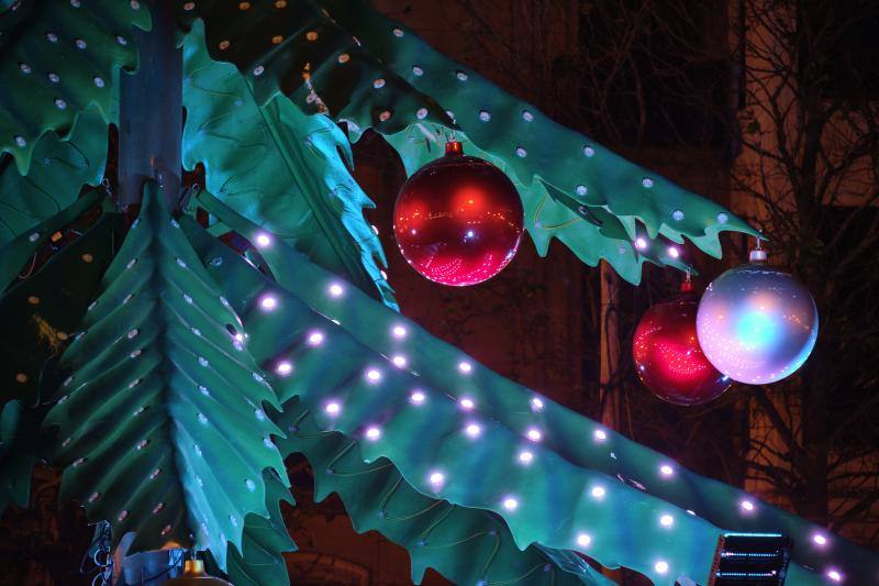Las luces de Navidad iluminan Donostia. Por toda la ciudada hay 75 calles con más de 730 elementos, de ellos un 90% de diseños nuevos. Además, en Alderdi Eder se ha instalado un planetario de luz y sonido, una bola de diez metros de altura en la calle Easo, los árboles del Buen Pastor y el palacio de Miramar y el Mercado de Navidad. Todo ellos contribuyen a dar brillo a la ciudad.