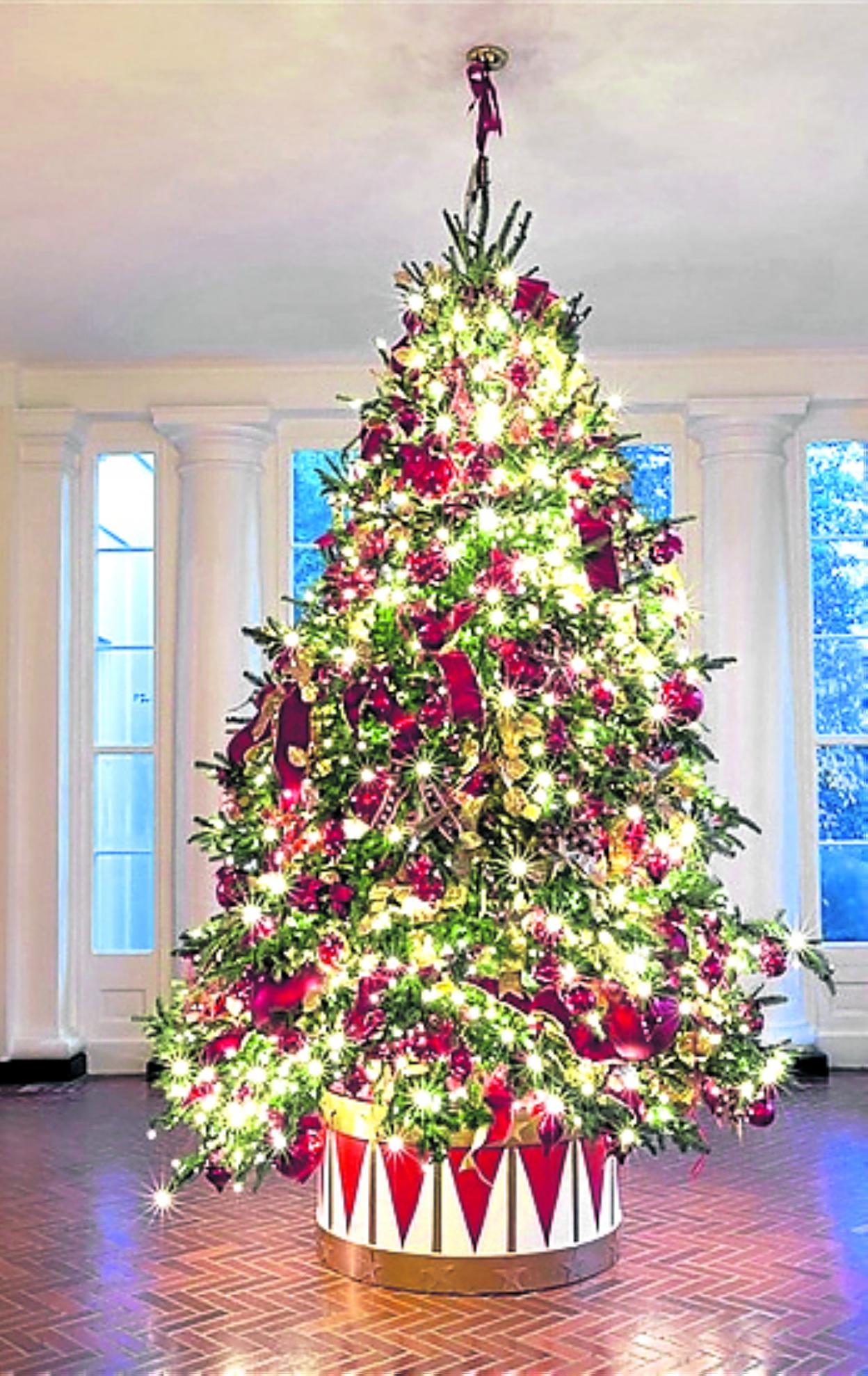 Uno de los 20 abetos.