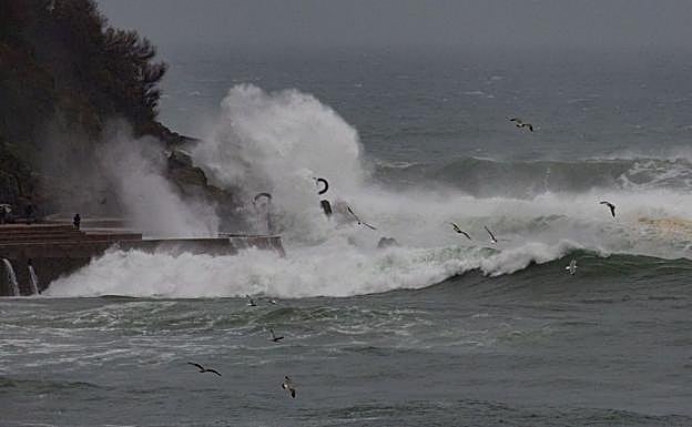Imagen. Las olas podrían alcanzar este jueves los catorce metros