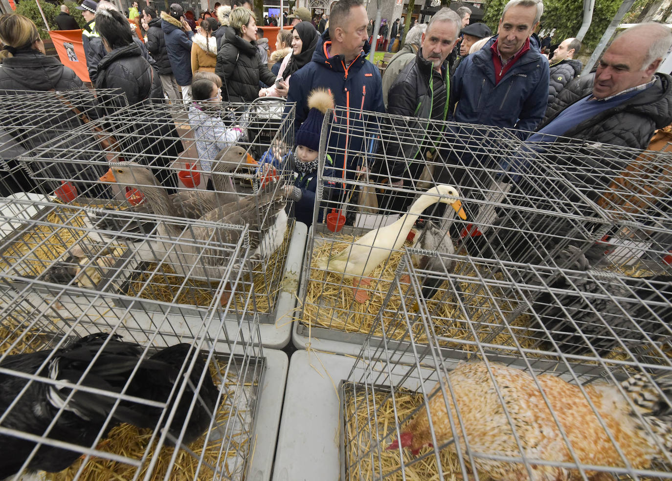 Fotos: Multitudinaria feria de Santa Lucía en Zumarraga y Urretxu