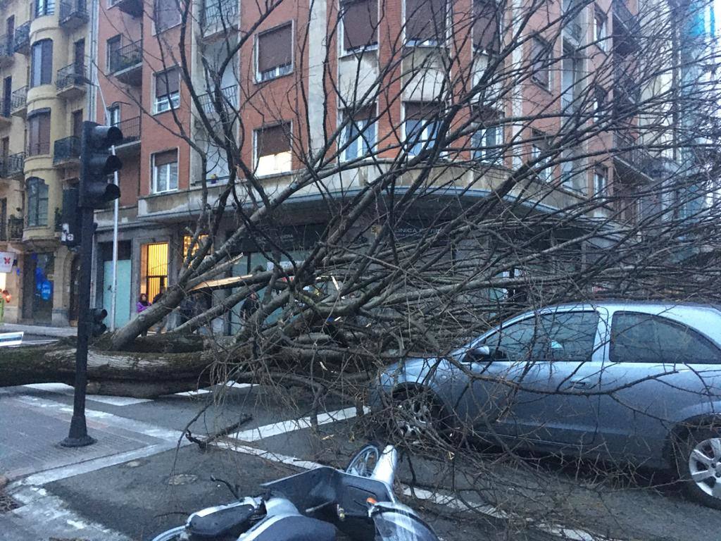 Las rachas de viento alcanzan los 135 km/ h y provocan numerosas incidencias