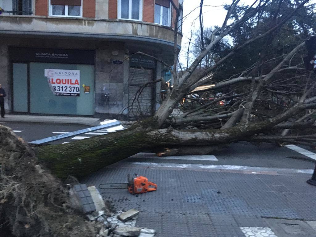 Las rachas de viento alcanzan los 135 km/ h y provocan numerosas incidencias