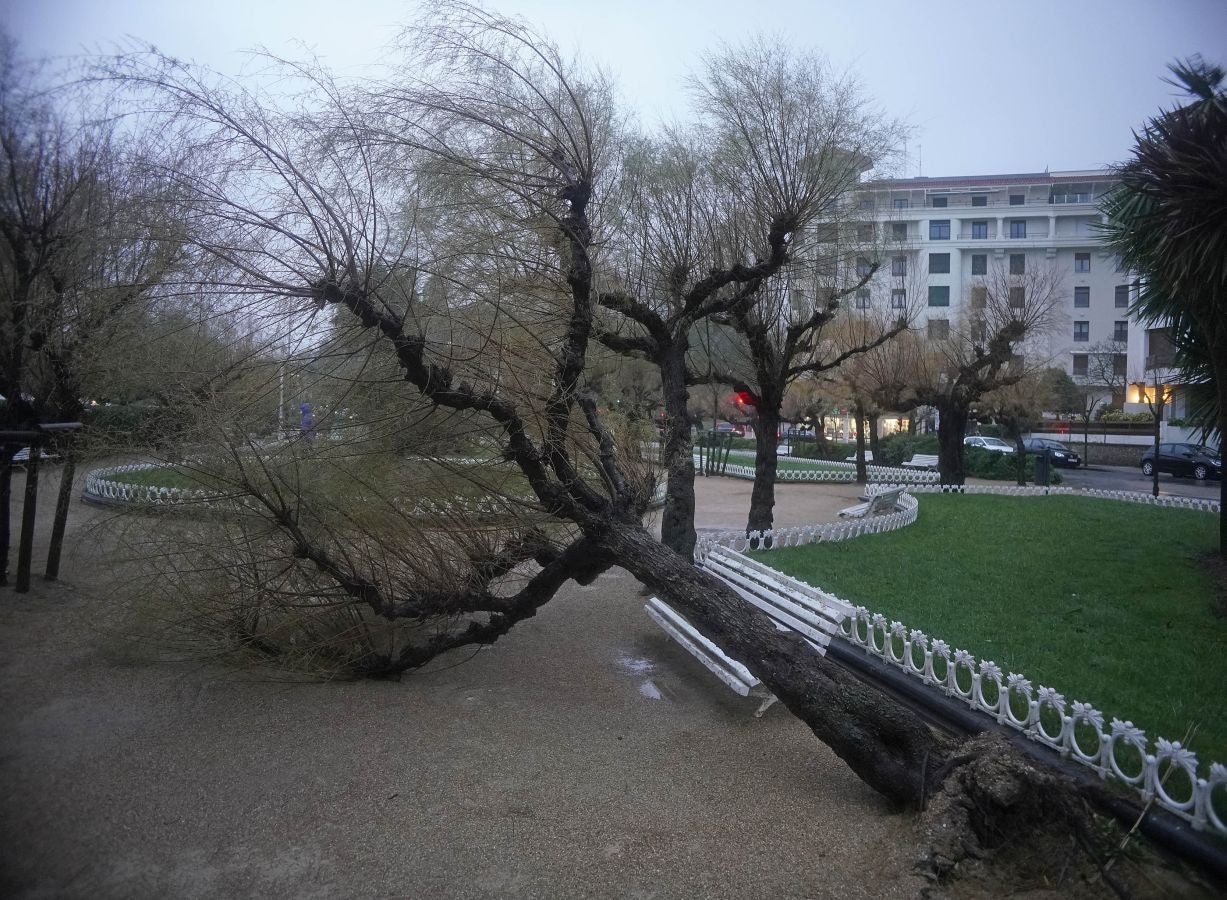 Las rachas de viento alcanzan los 135 km/ h y provocan numerosas incidencias
