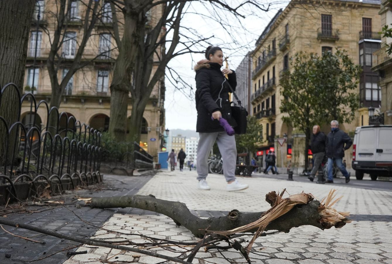 Las rachas de viento alcanzan los 135 km/ h y provocan numerosas incidencias