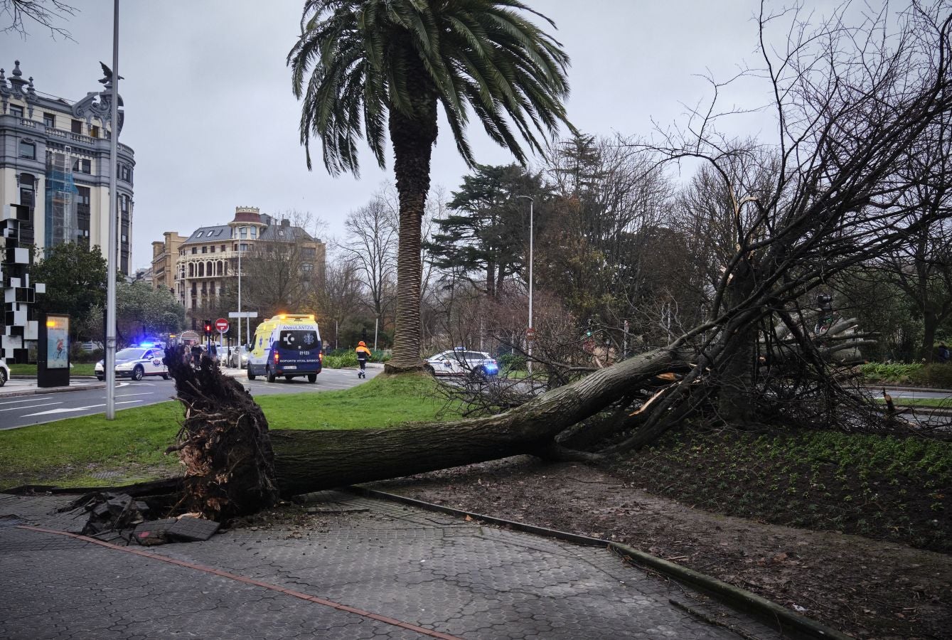 Las rachas de viento alcanzan los 135 km/ h y provocan numerosas incidencias