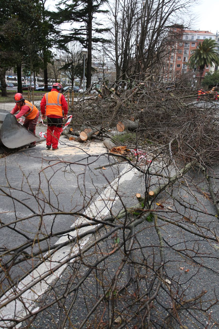 Las rachas de viento alcanzan los 135 km/ h y provocan numerosas incidencias
