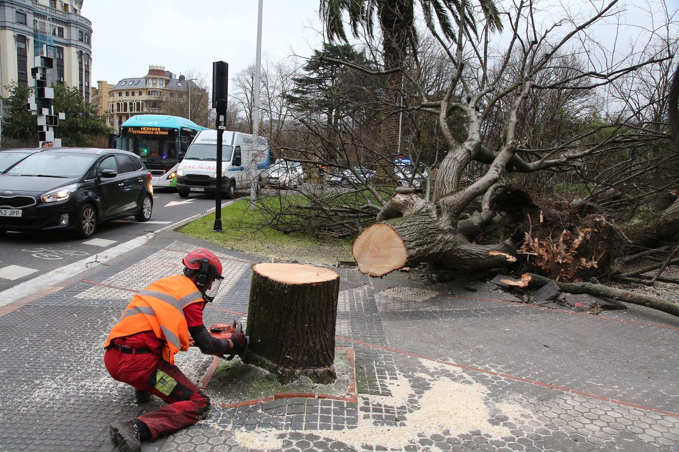 Las rachas de viento alcanzan los 135 km/ h y provocan numerosas incidencias