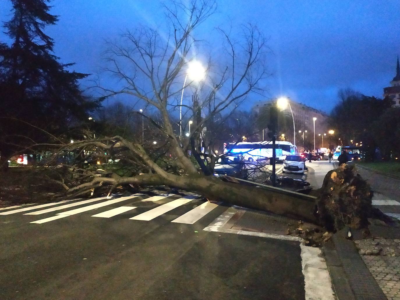 Las rachas de viento alcanzan los 135 km/ h y provocan numerosas incidencias