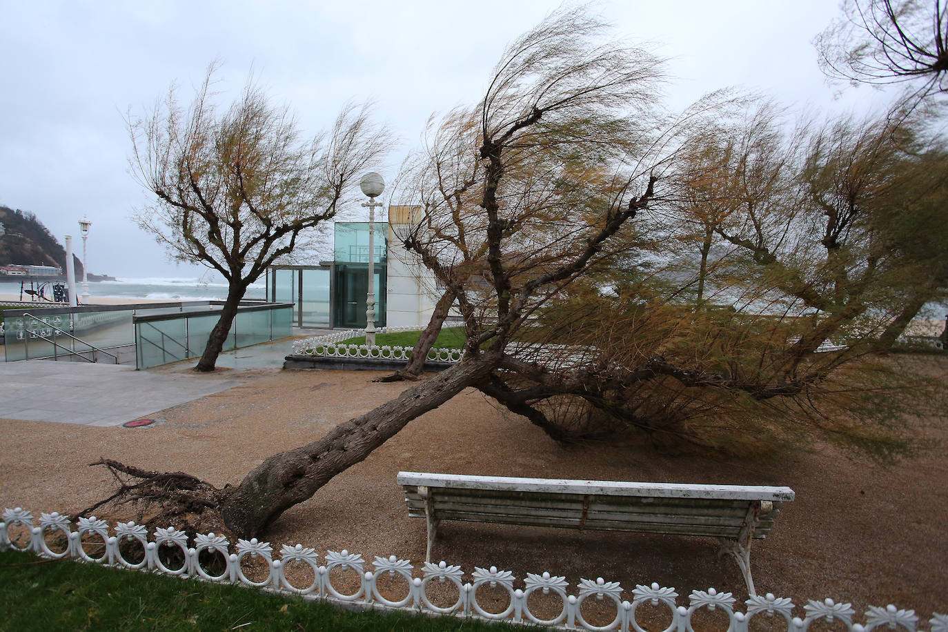 Las rachas de viento alcanzan los 135 km/ h y provocan numerosas incidencias