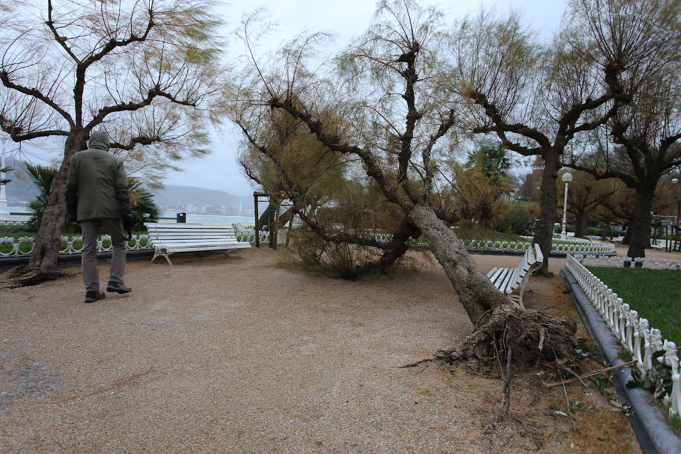 Las rachas de viento alcanzan los 135 km/ h y provocan numerosas incidencias