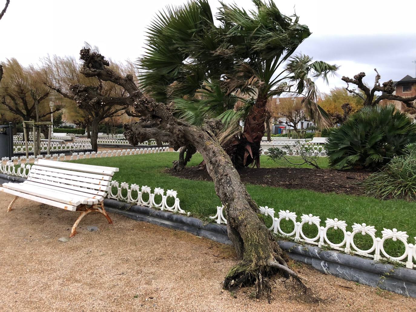 Las rachas de viento alcanzan los 135 km/ h y provocan numerosas incidencias