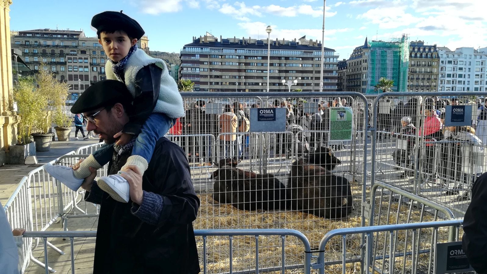 Los donostiarras han madrugado para ir a la feria desde primera hora de la mañana para ver a los animales en la Plaza Okendo y a la cerda en la Constitución