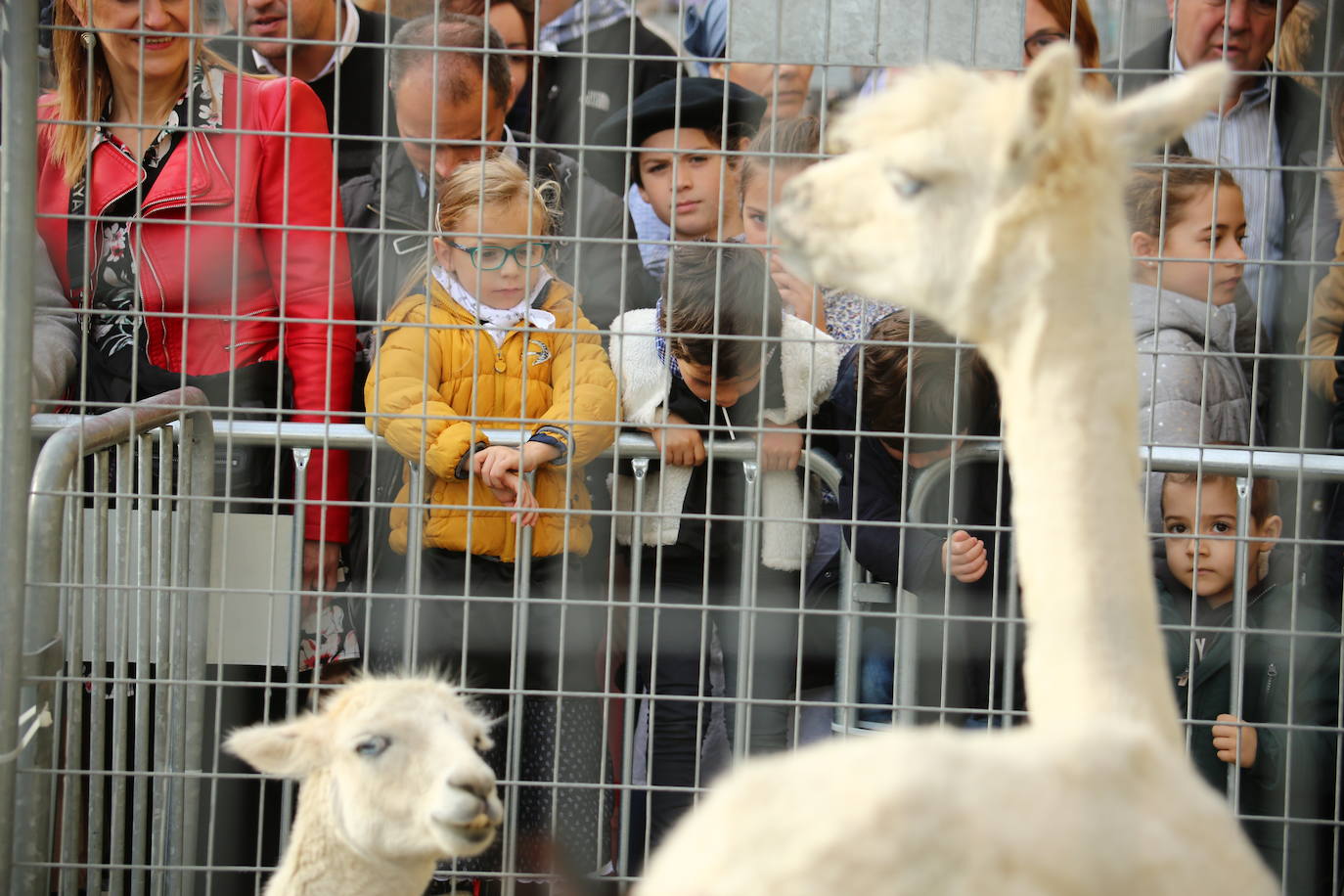 Ambiente festivo en Donostia desde bien temprano. 