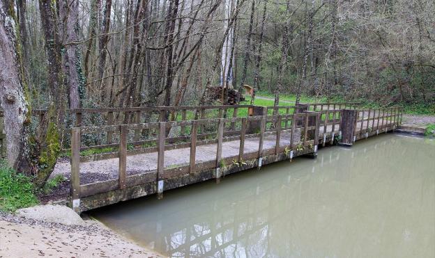 Puente sobre Pakea Erreka, uno de los muchos lugares tranquilos que hay en el bosque de Miramon.