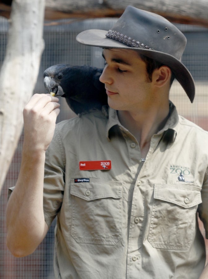Los animales del Zoo de Adelaida, Australia, también han recibido sus regalos. 