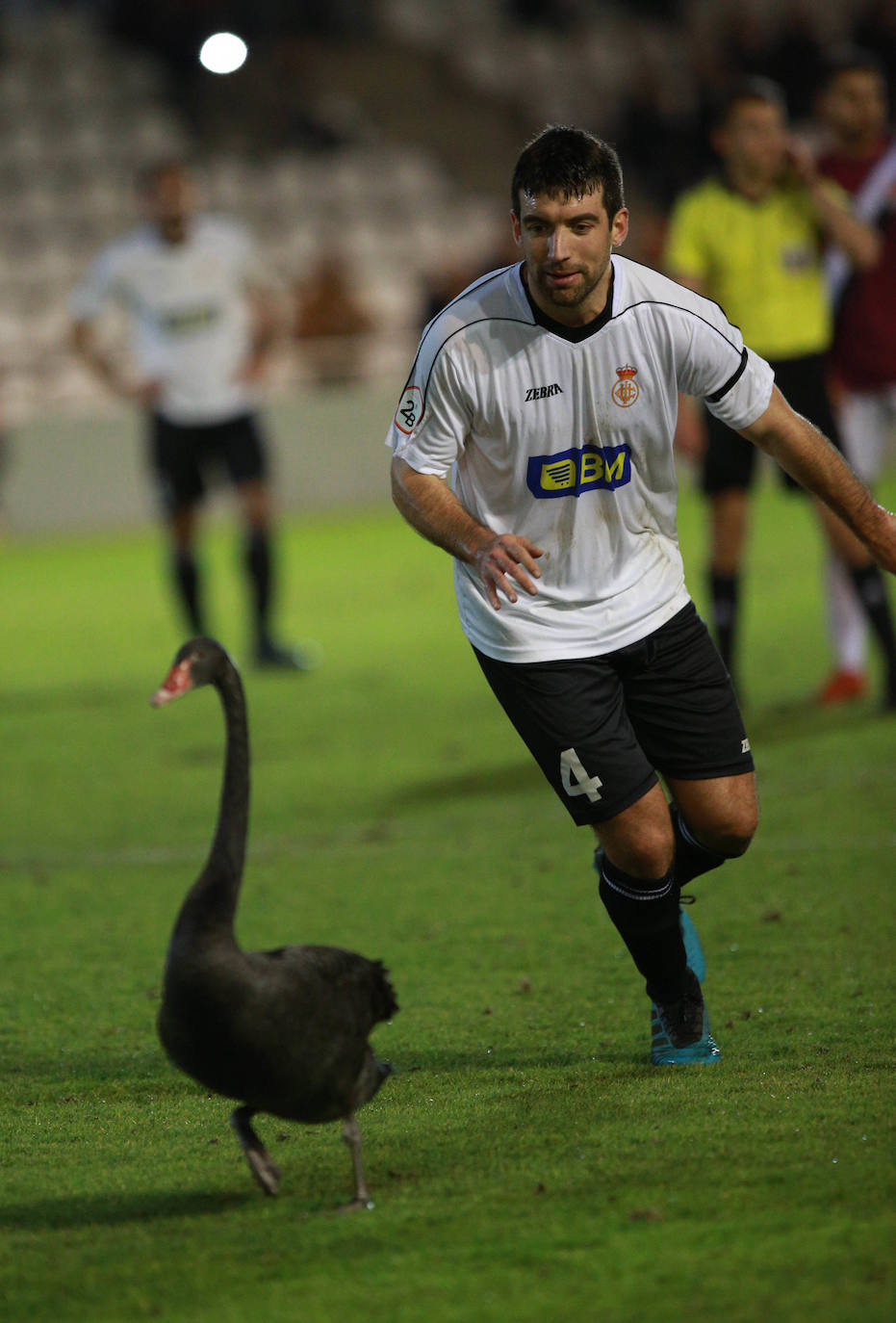 on dos claras ocasiones ha comenzado el Real Unión su choque de la última jornada de la primera vuelta ante el Haro. En el minuto 6, Galán ganaba línea de fondo y la cedía atrás para Eneko, que remataba ligeramente desviado a la derecha de Sobrón. La nota curiosa de la tarde la puso la presencia de un cisne en la segunda parte, que mantuvo detenido el choque varios minutos.