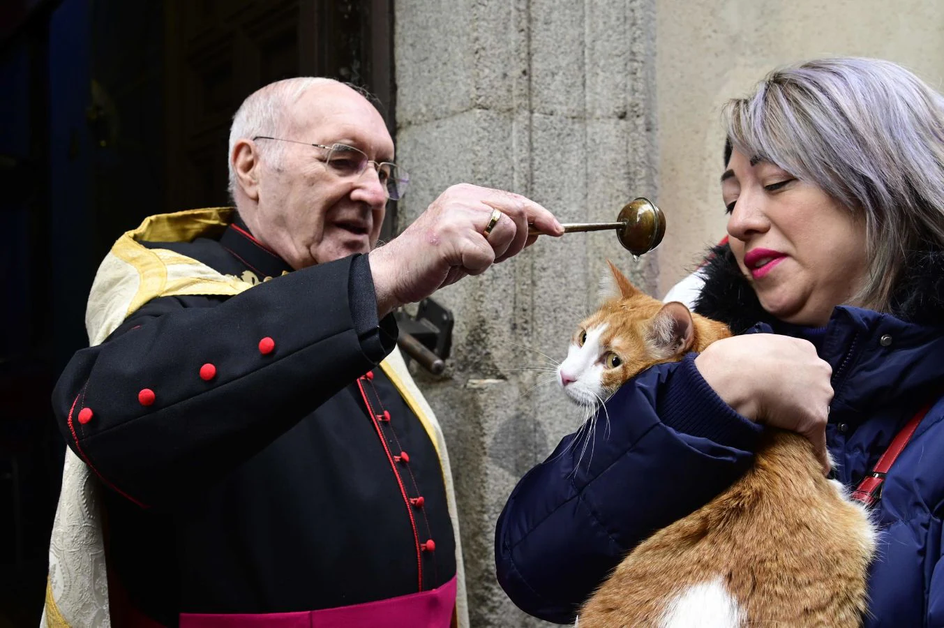 Perros, gatos, ratones... y hasta un búho han recibido la bendición de San Antón. patrón de los animales, en la madrileña parroquia de San Antón