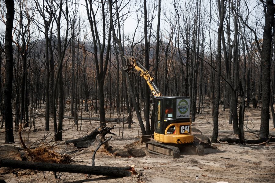 Fotos: los incendios han arrasado gran parte de Kangaroo Valley, en Australia