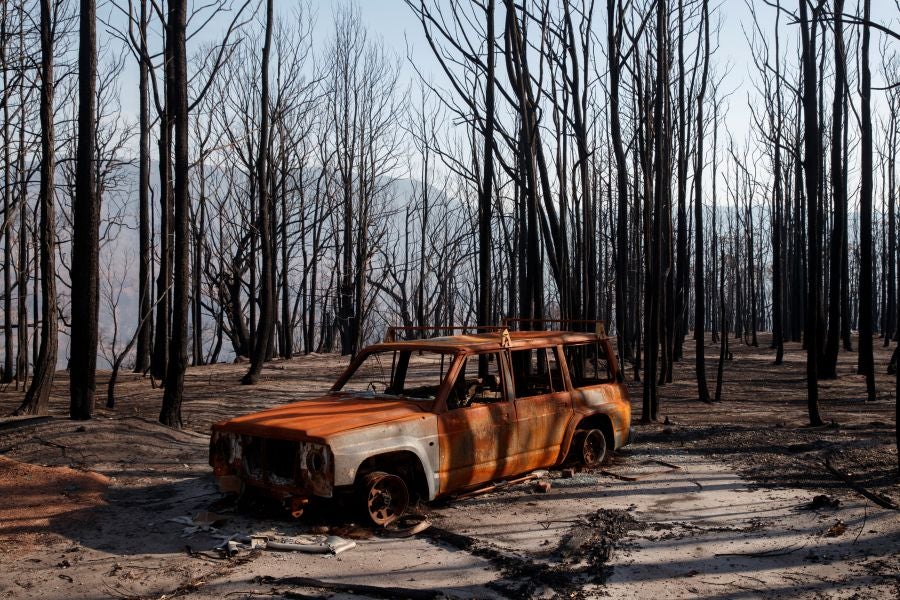 Fotos: los incendios han arrasado gran parte de Kangaroo Valley, en Australia