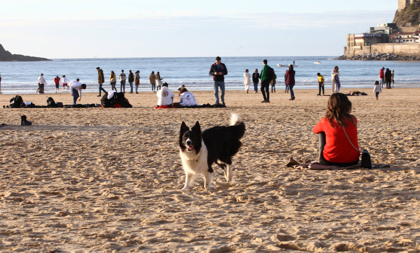 Gipuzkoa ha estrenado el mes de febrero con un tiempo más propio del verano que del invierno. El sol y las agradables temperaturas han invitado a la playa o al monte.