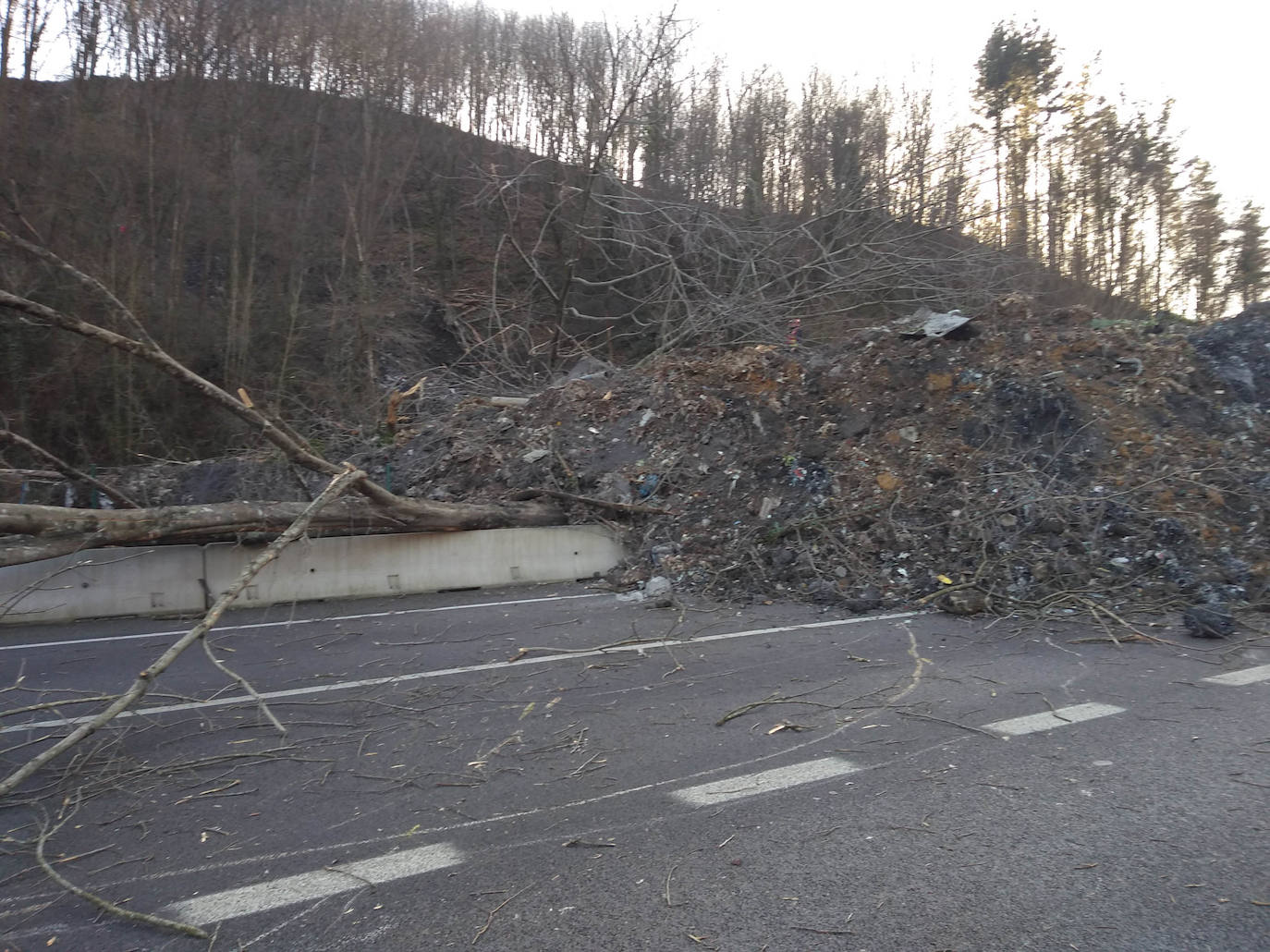 La autopista AP-8 está cortada en ambos sentidos a la altura de Zaldibar por un desprendimiento de tierras que ha provocado la caída de un árbol de grandes dimensiones sobre la calzada. Según ha informado el Departamento de Seguridad, el tráfico sentido Irun se está desviando por la salida de Ermua y sentido Cantabria por la salida de Eibar. 