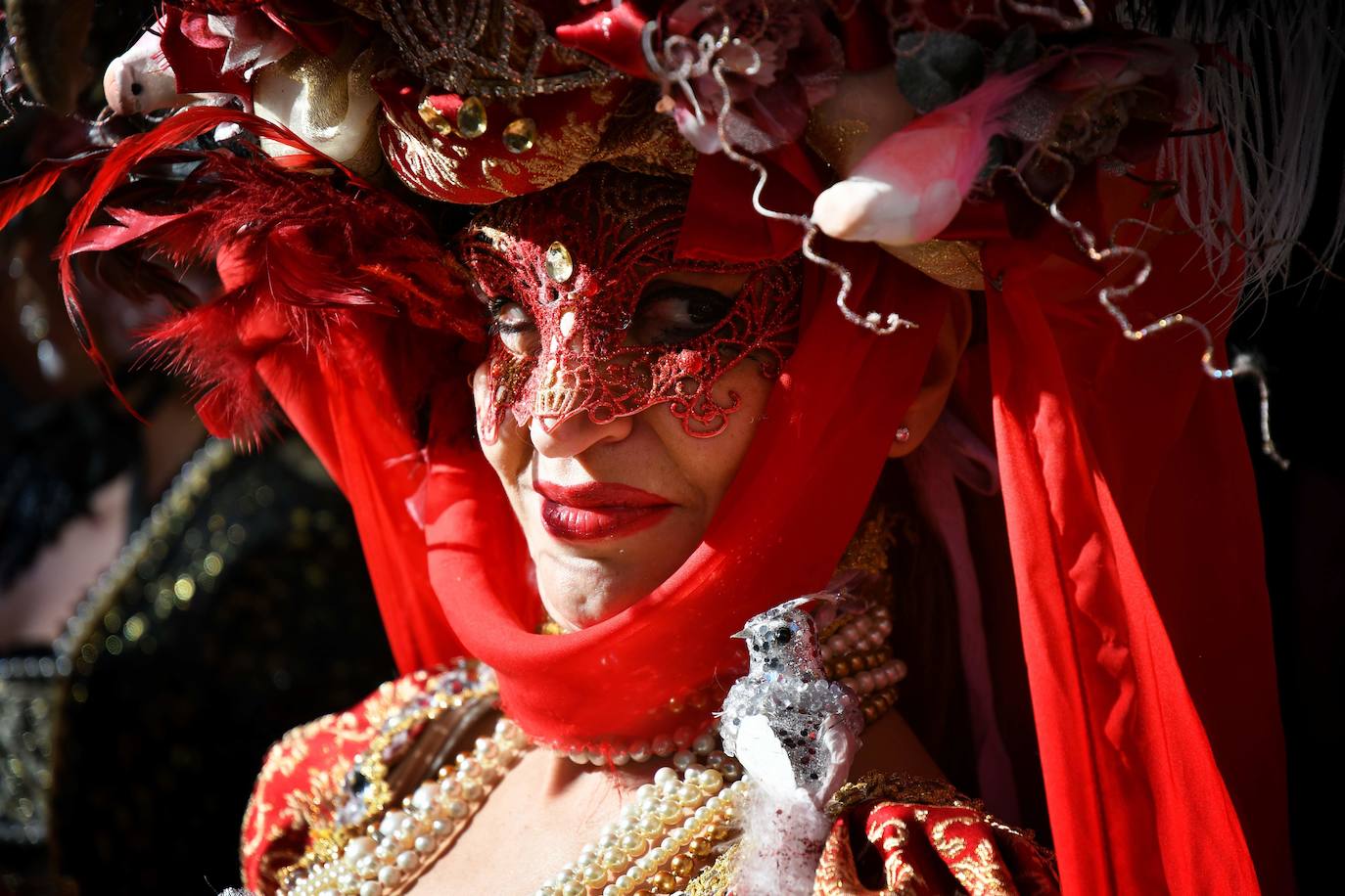 Fotos: Carnavales de Venecia