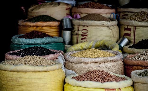 Propiedades nutricionales de las legumbres