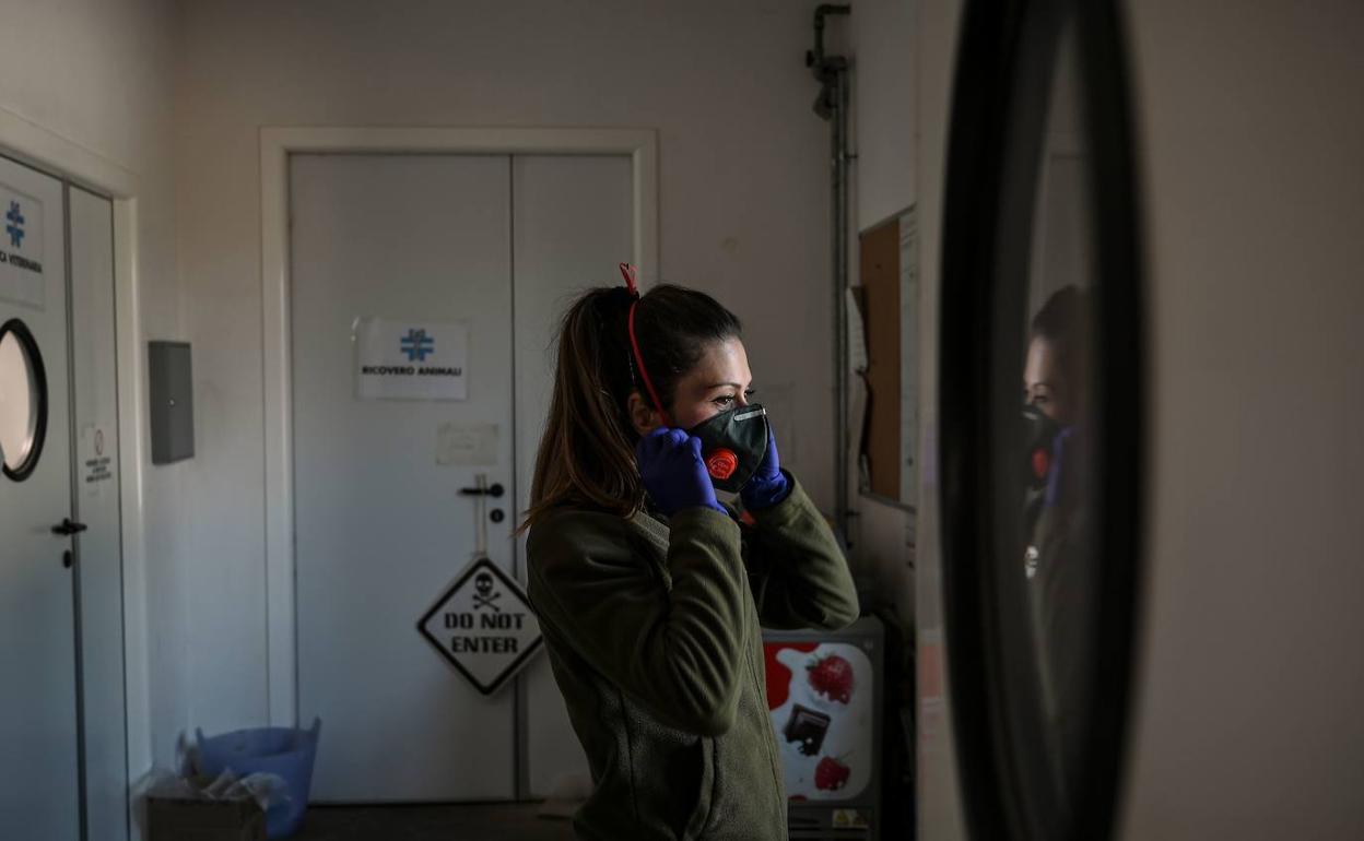 Pautas para las personas que estén en aislamiento domiciliario por el coronavirus