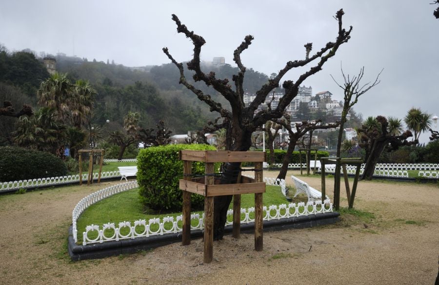 En San Sebastián hay 40.000 ejemplares inventariados