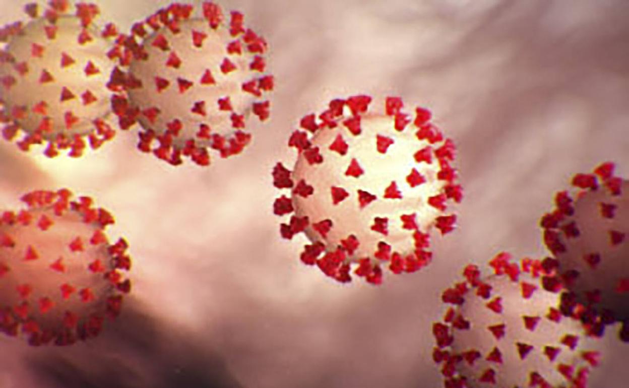 ¿Es el coronavirus la antesala de la desglobalización?