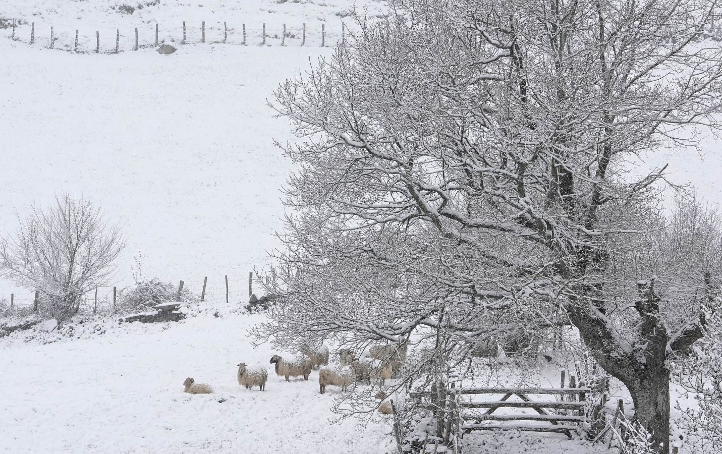 La nieve llega a Gipuzkoa