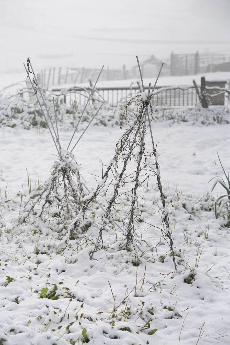 La nieve llega a Gipuzkoa
